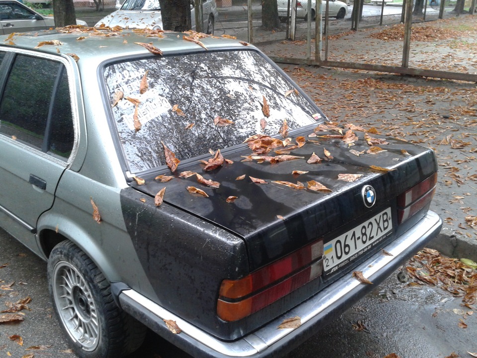 it's autumn photo works 5