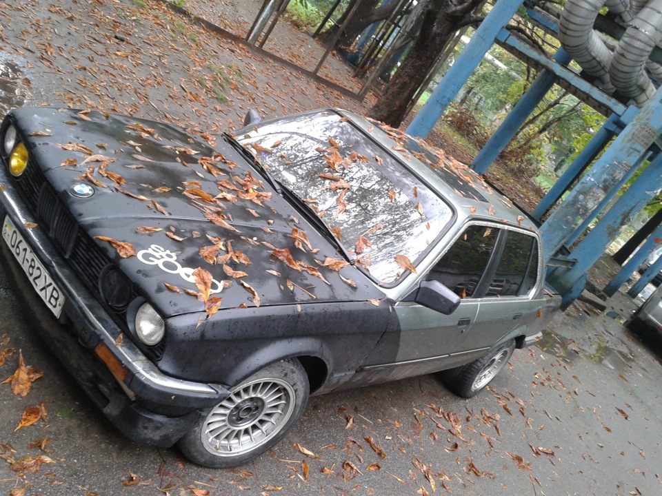 it's autumn photo works 4