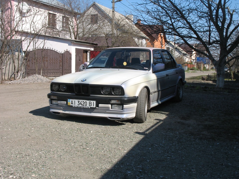 Чорна морда KAMEI 1