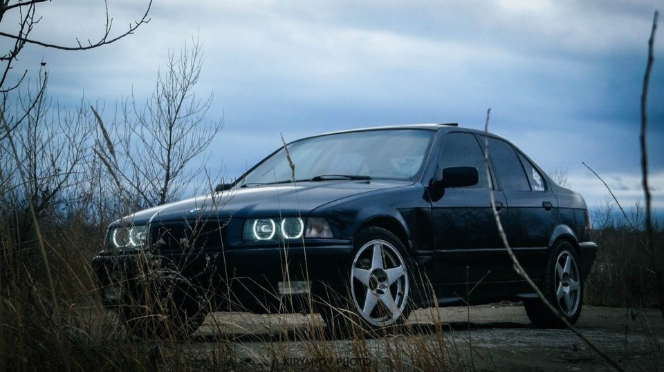 Дисули AZEV фотоотчет 4