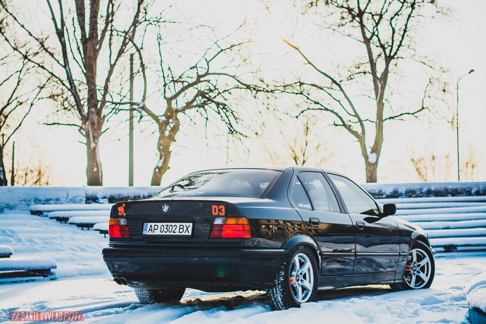 Winter photo session 5