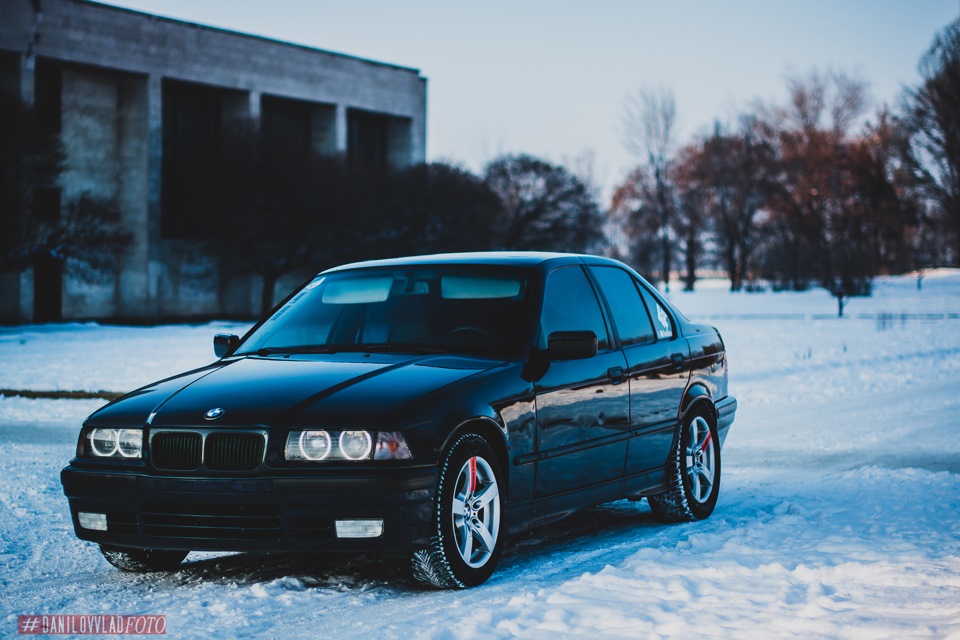 Winter photo session 4