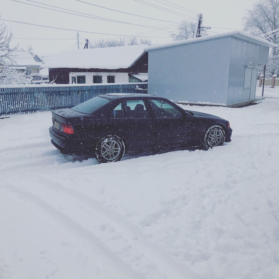 Парочка зимових фото 2