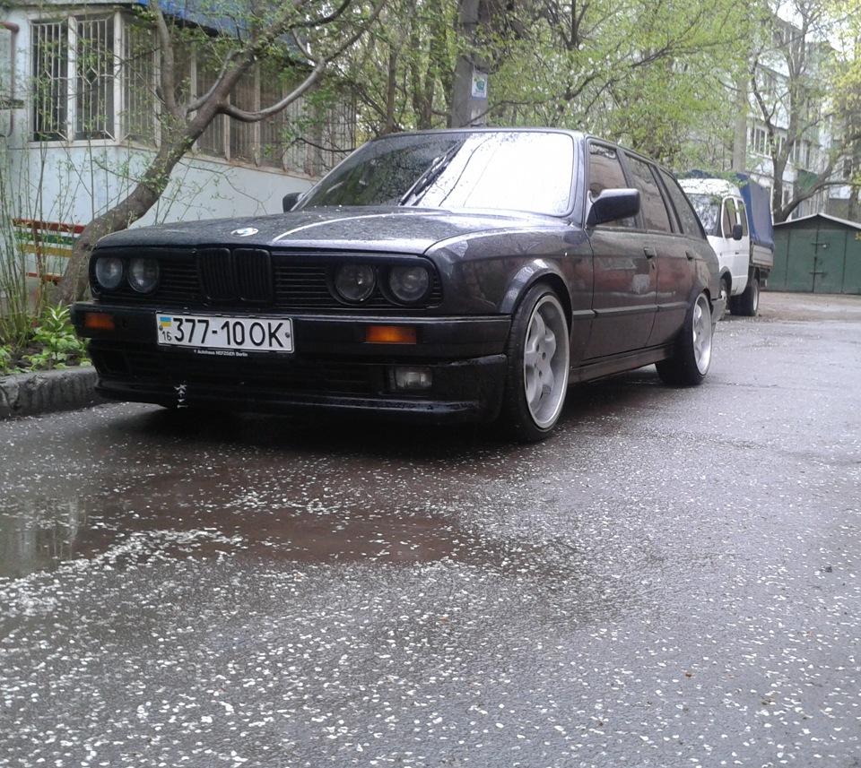 правильна ризя 1