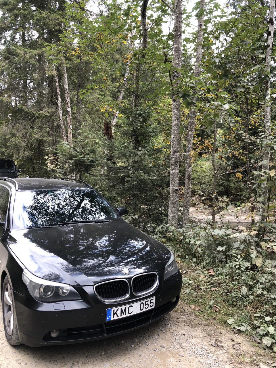 Поїздка до Карпат