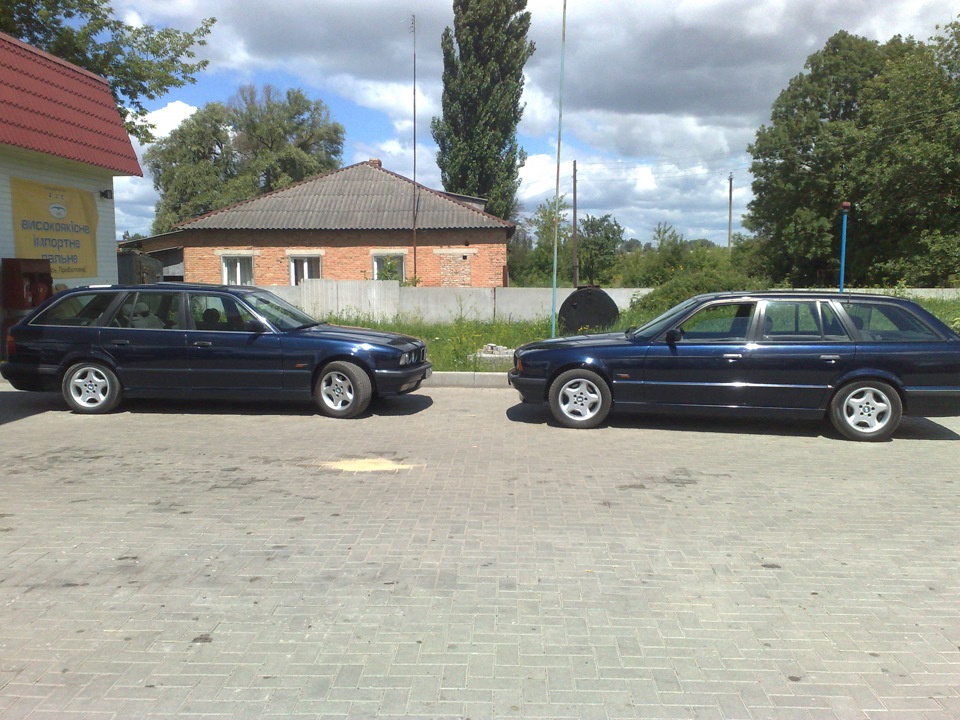 НІЖНІ КИЛИМКИ VELOURS 2