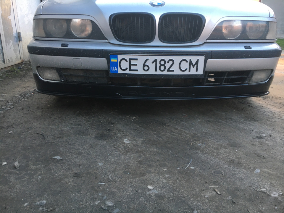 Губа Alpina 1
