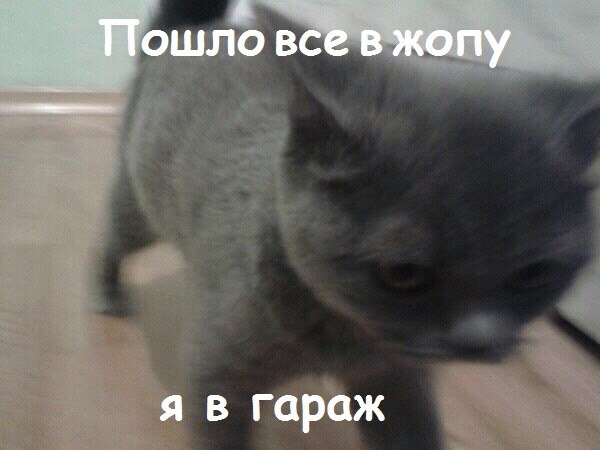 Новини. 1