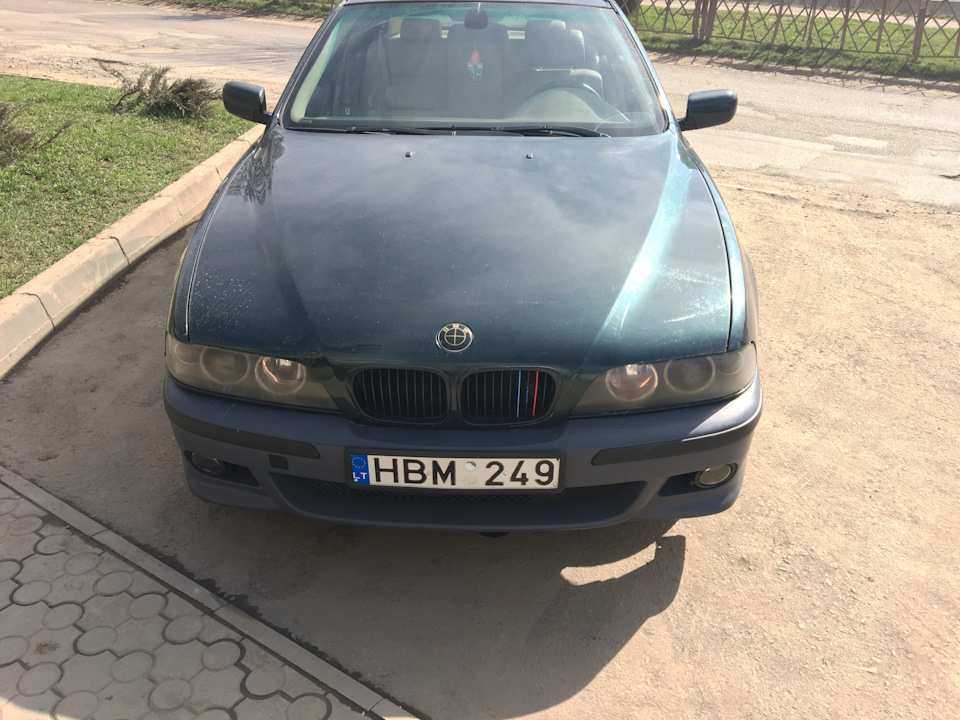 Бампер і очі:) 2