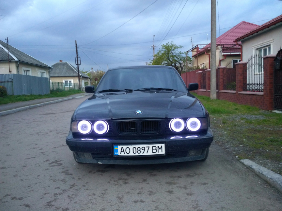 2 місяці 1