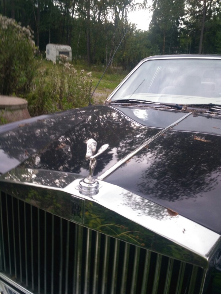 Чехія — Швеція 1