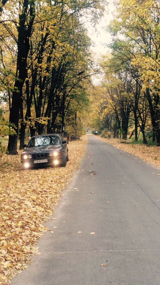 Диски bmw 5 style на місці 2