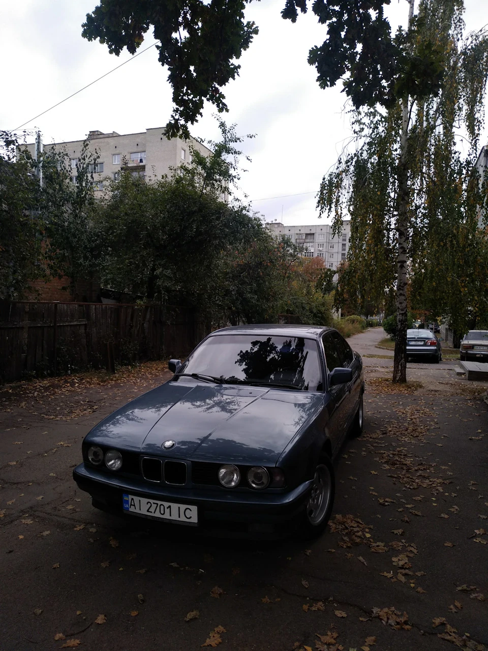 Трохи фотографій