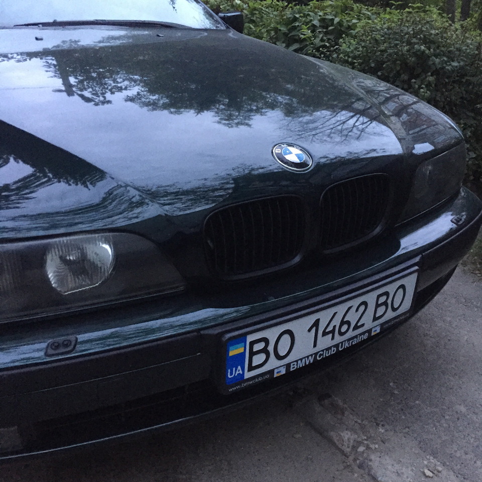 Трохи стайлінгу 1