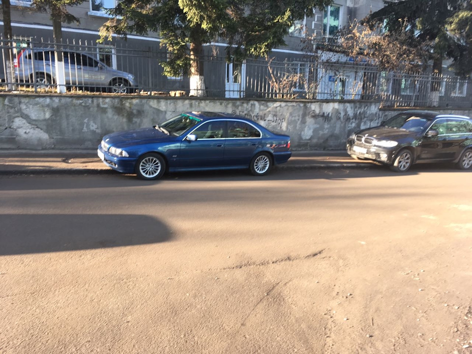 Поповнення в сім'ї. 4
