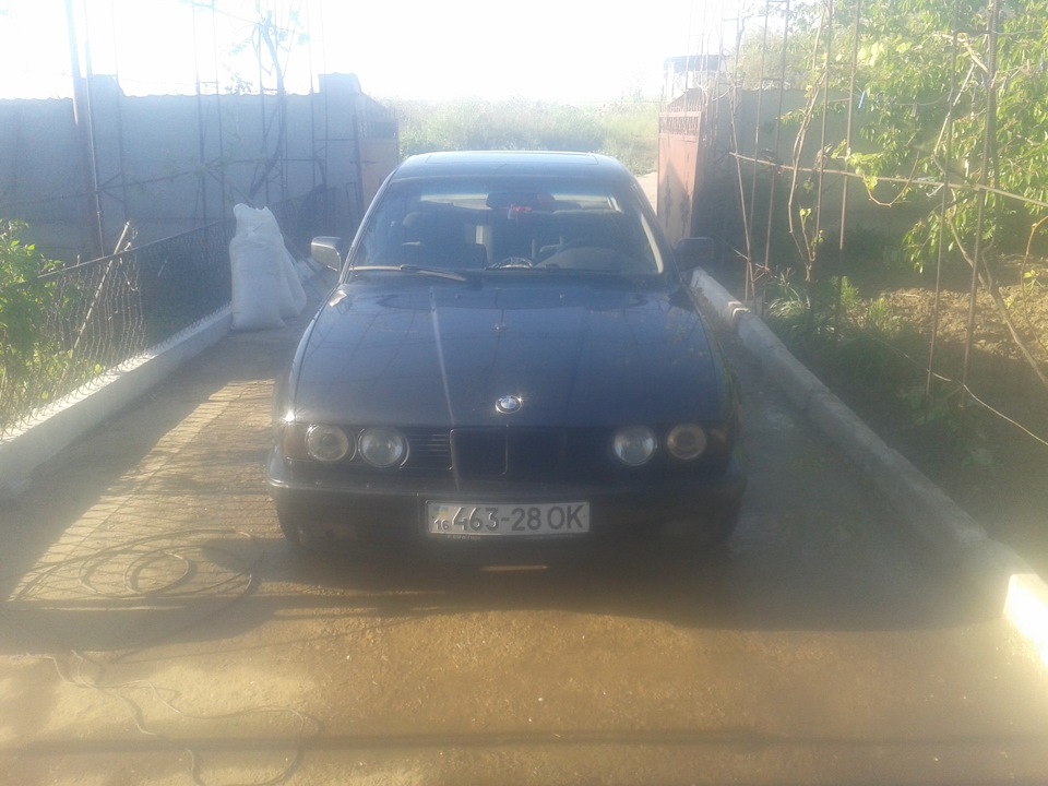 Знову душик 4