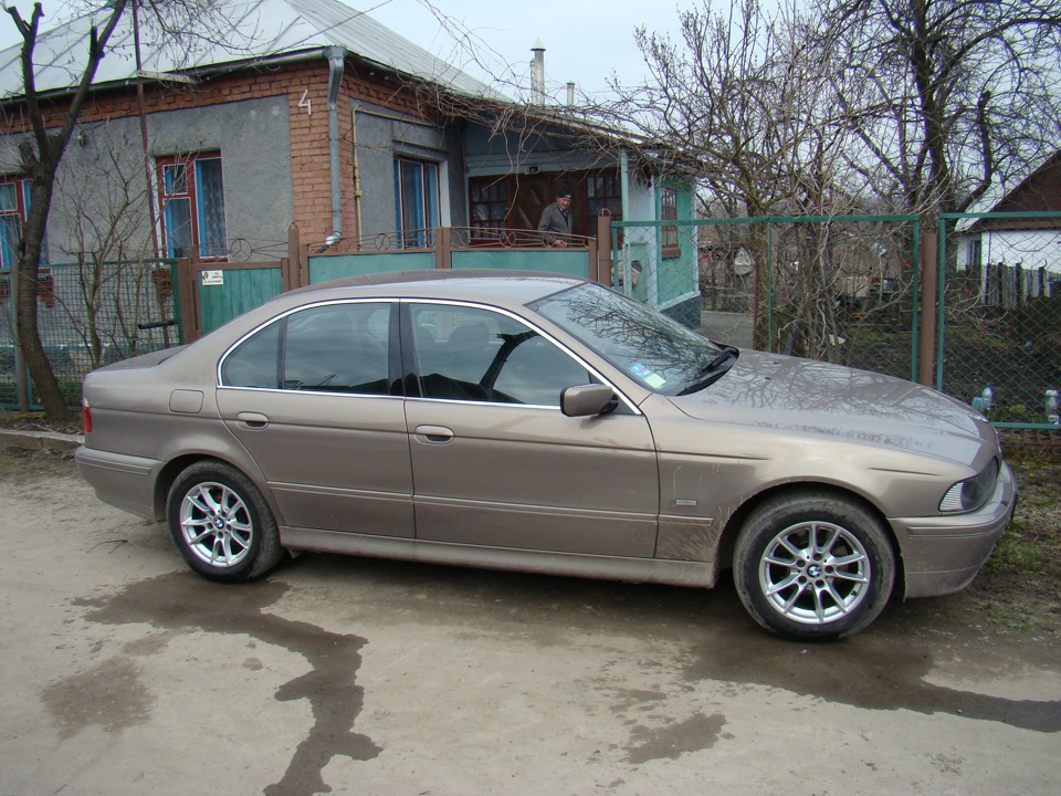 У гостях у дідуся) 1