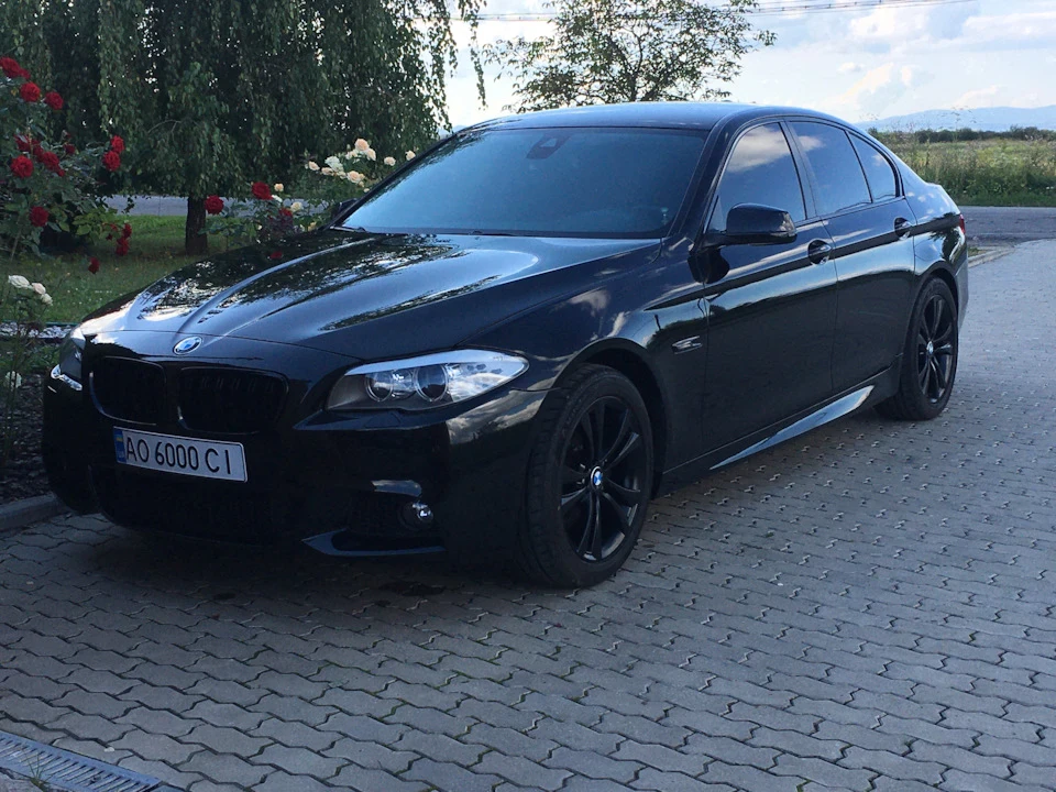 Чорна на чорних