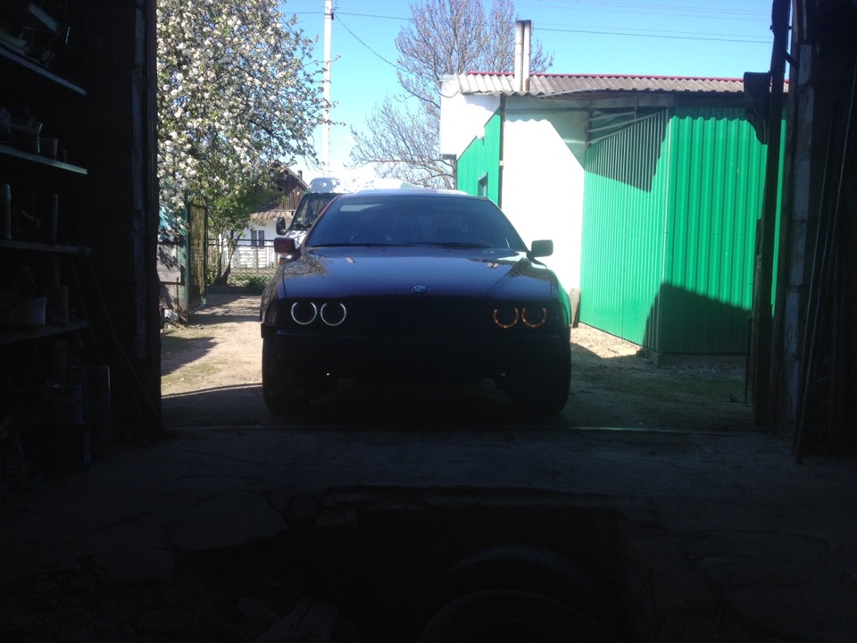 У мене Hella і shadow line))) 4