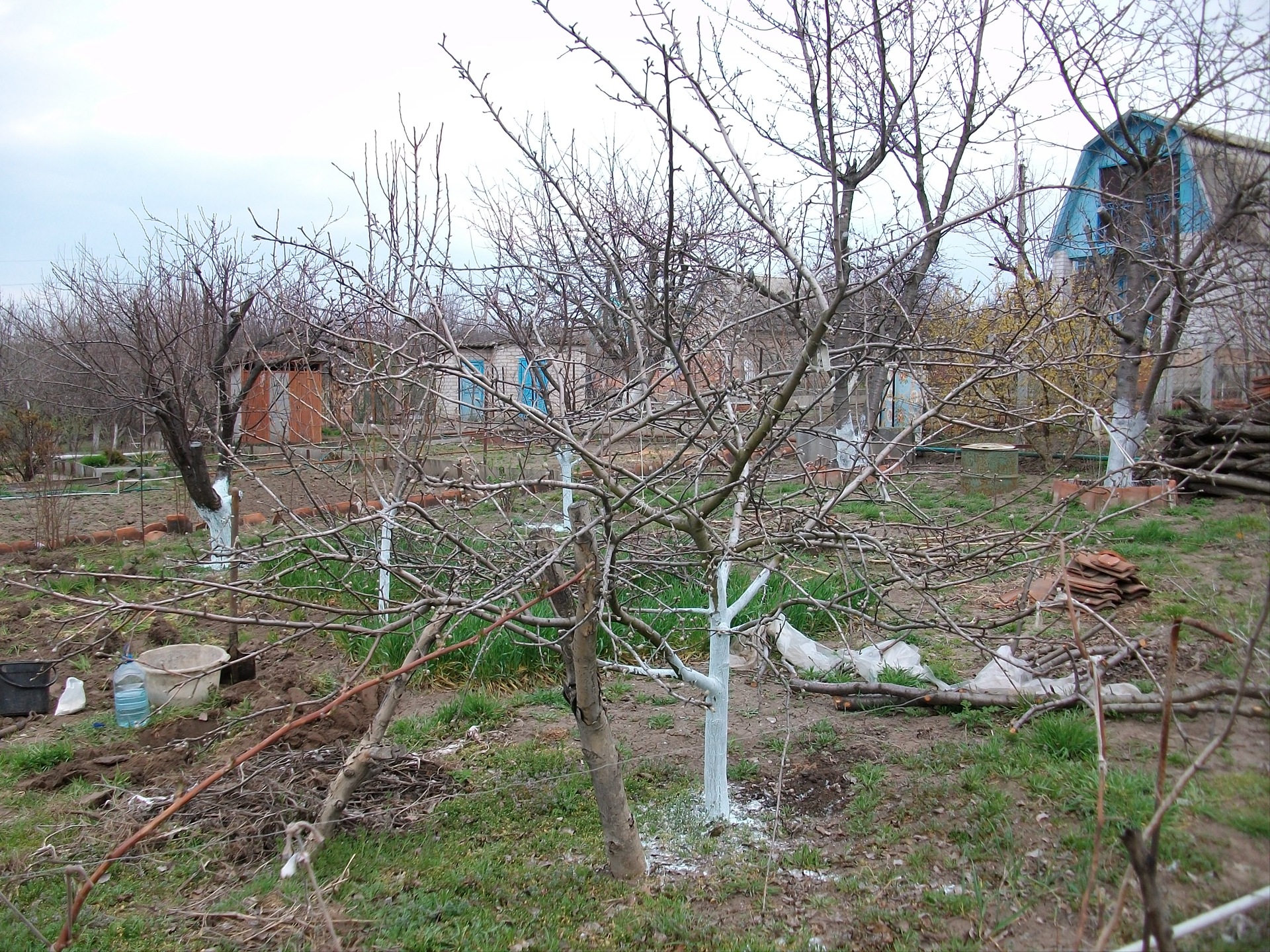 ЇДЕМО НА ДАЧУ ПРОДОВЖЕННЯ… 4