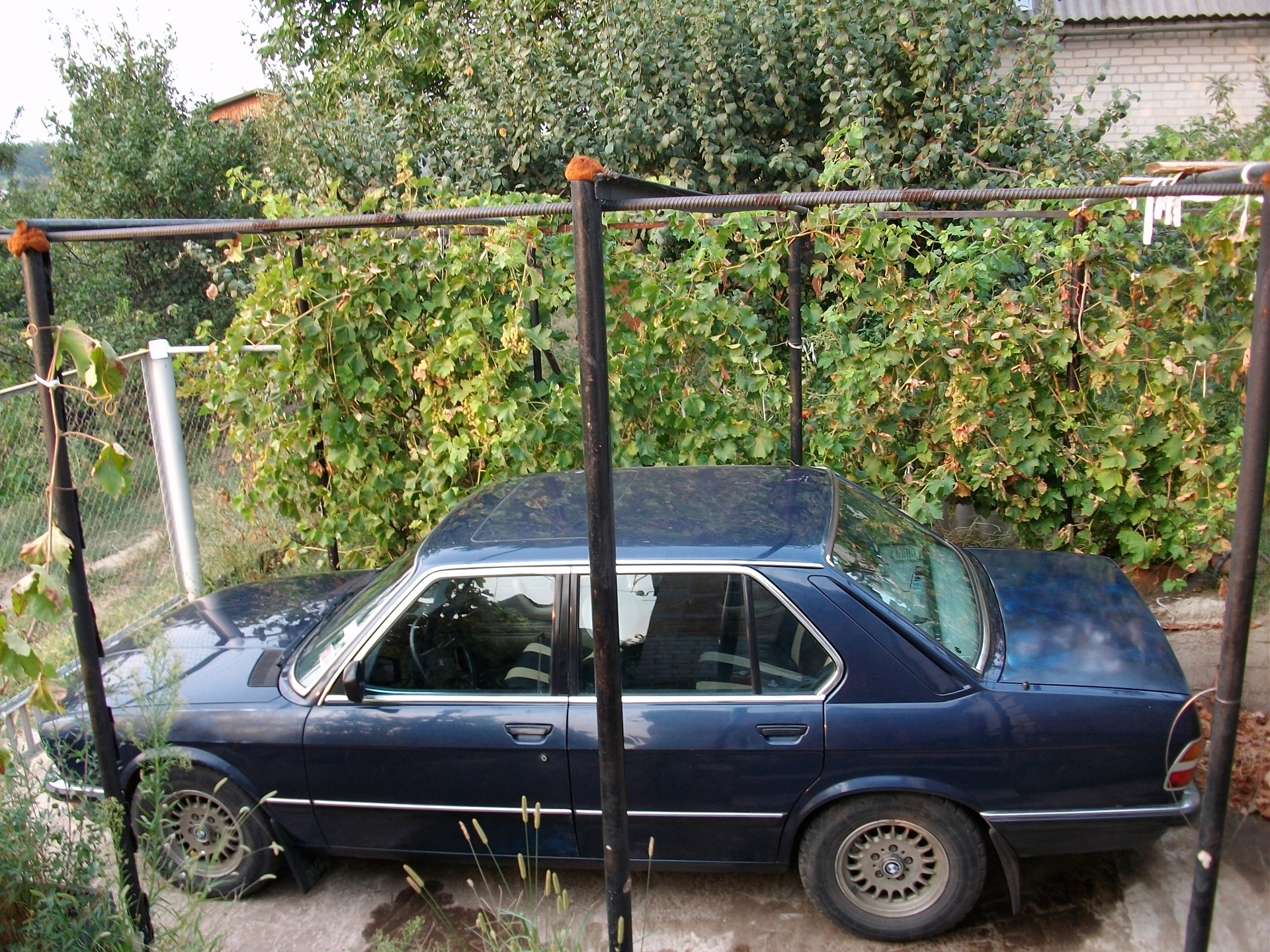 НЕВЕЛИКА ФОТОСЕСІЯ 1