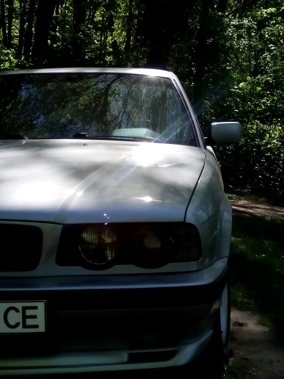 На природі 5