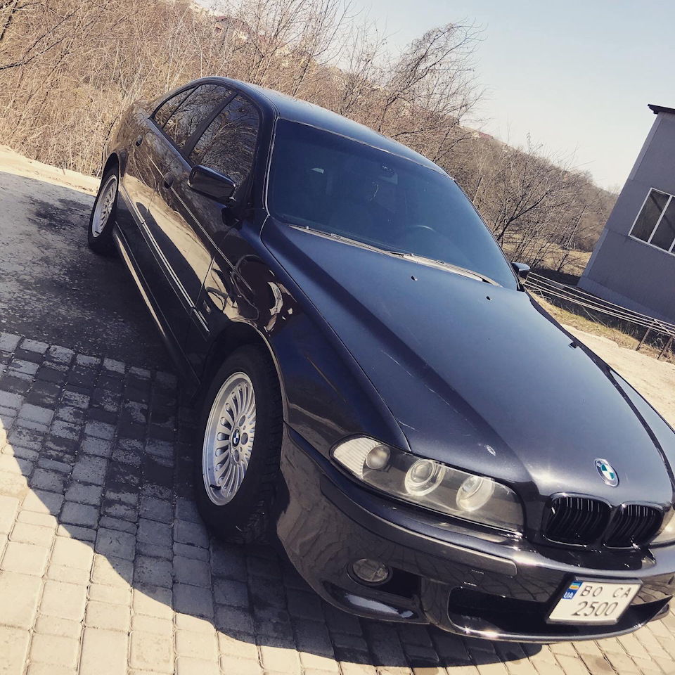 Shadow line готовий 4
