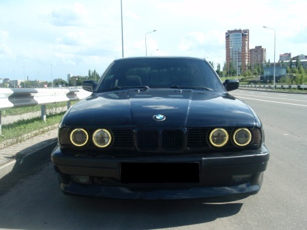 туманки 1