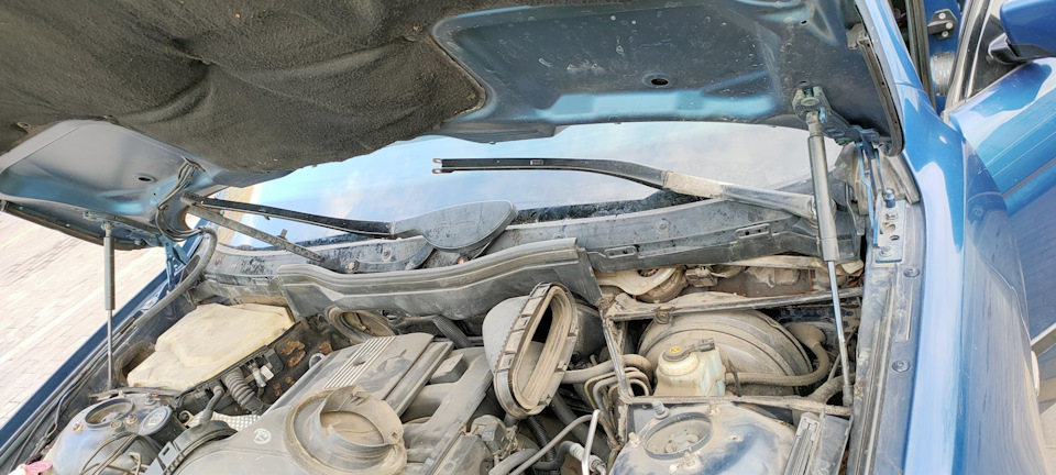 Місія Коронавірус або чим зайнятися у вільний час 🤷‍♂️ 1