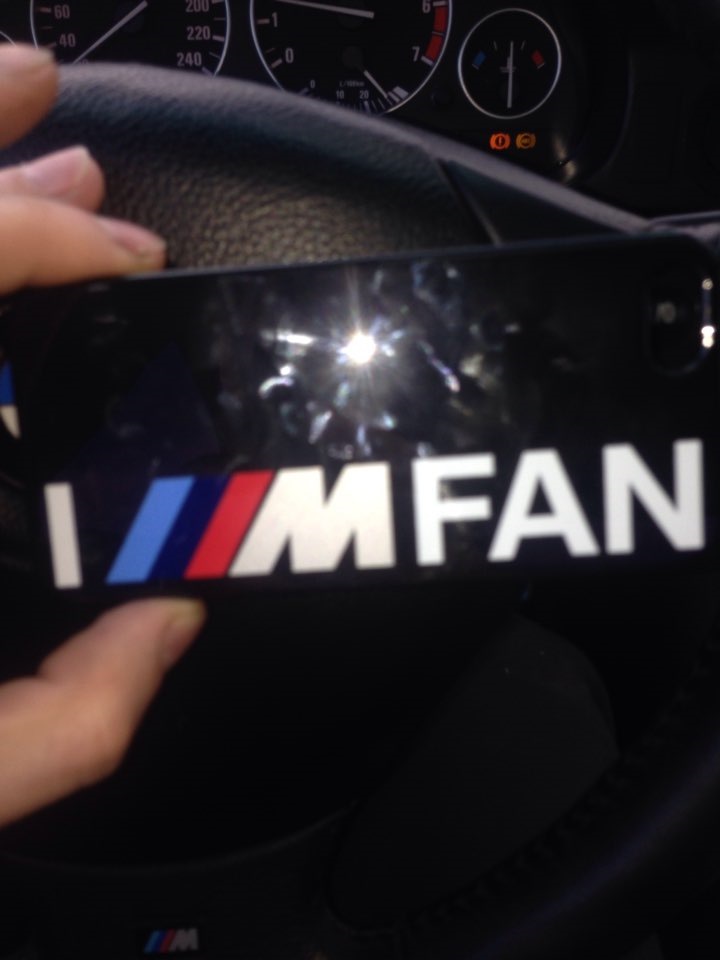 Губа Hamann 1