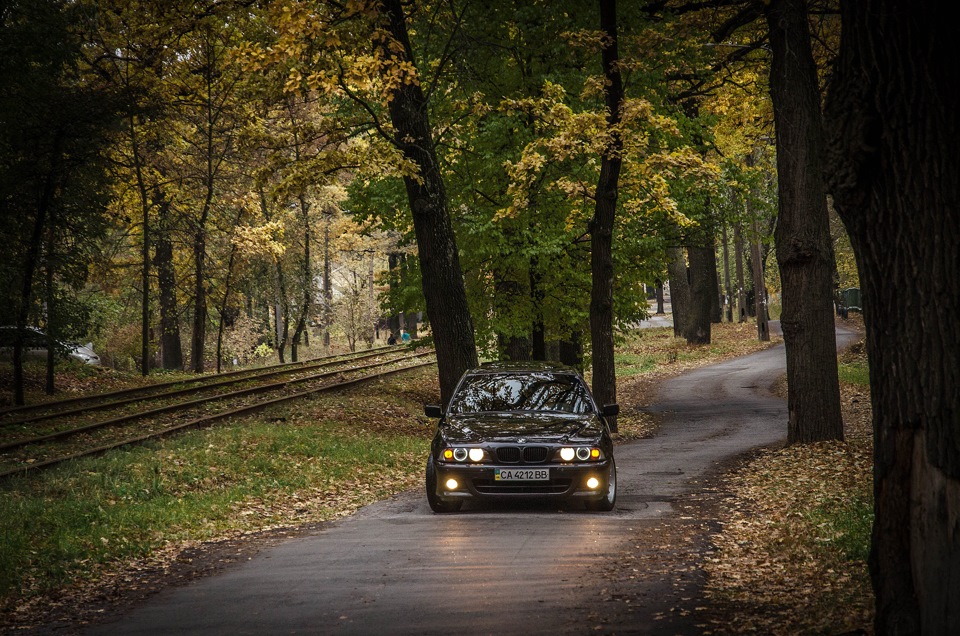 Краса як вона є, останні дні осені) 2