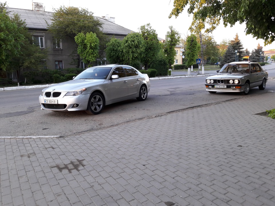 Дерево життя 2