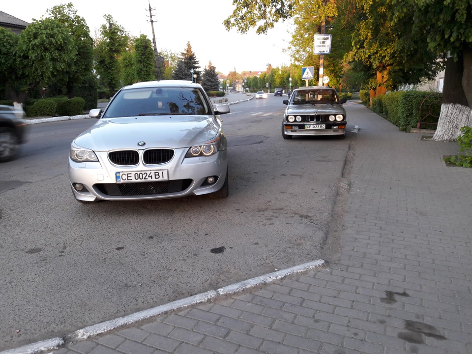 Дерево життя 1