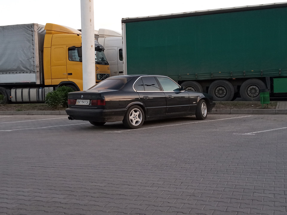 Не підвів 1