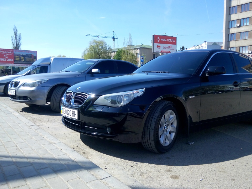 Зустріч двох красунь 4