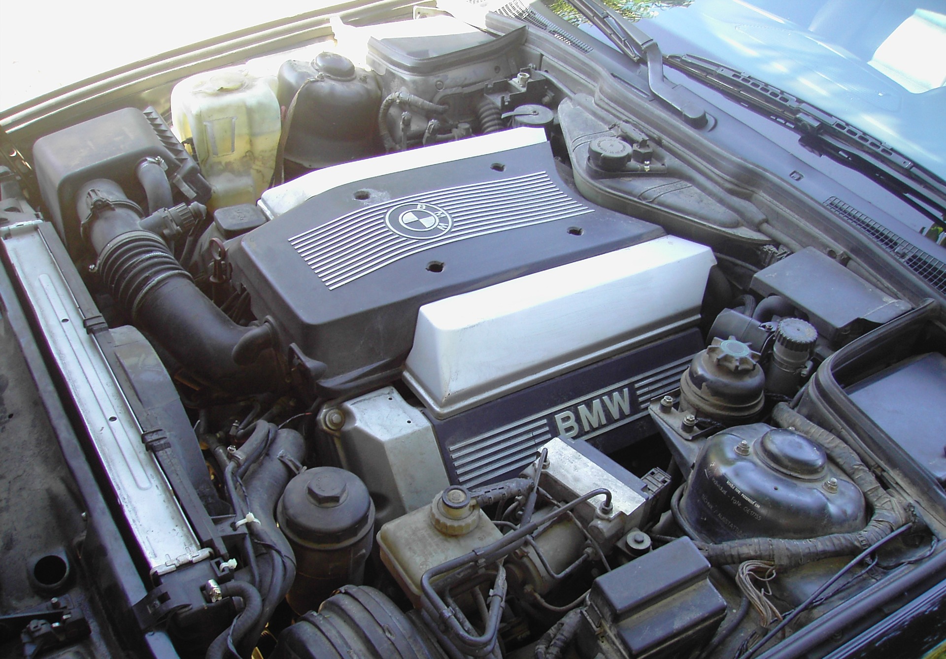 Магія V8 1