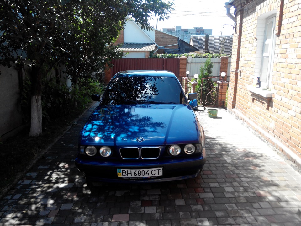 пару фоток! 4