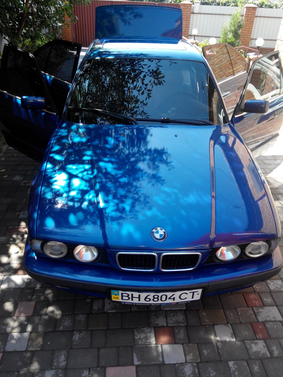 пару фоток! 2