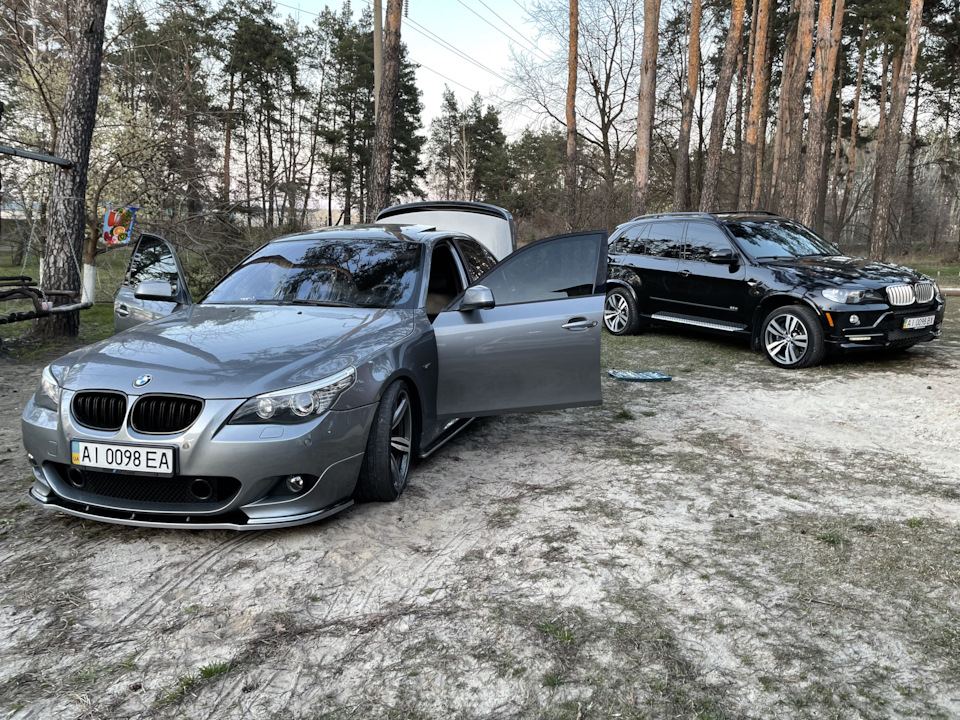 Затишок) бамбук мені в будинок 😅 3