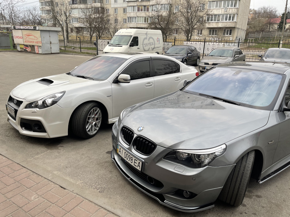 Затишок) бамбук мені в будинок 😅 1