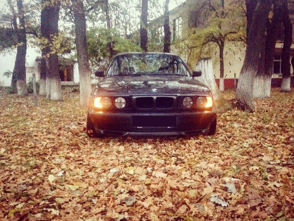 Осінь 535 vs 540 3