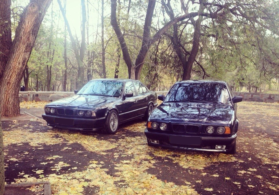 Осінь 535 vs 540 1