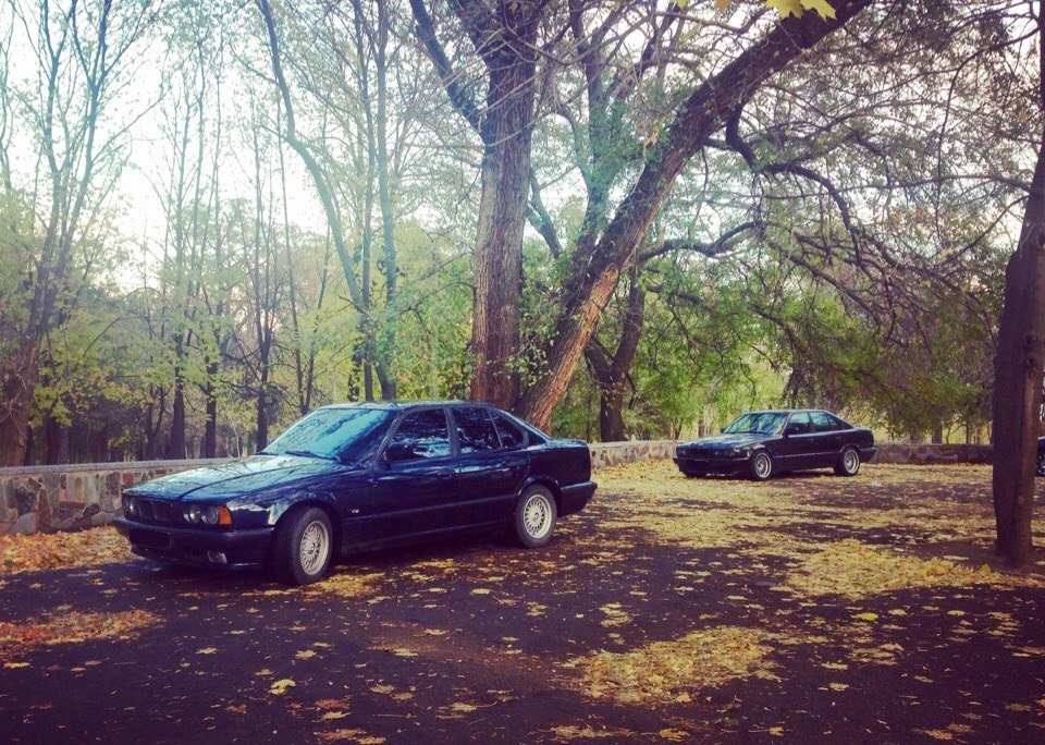 Осінь 535 vs 540 5