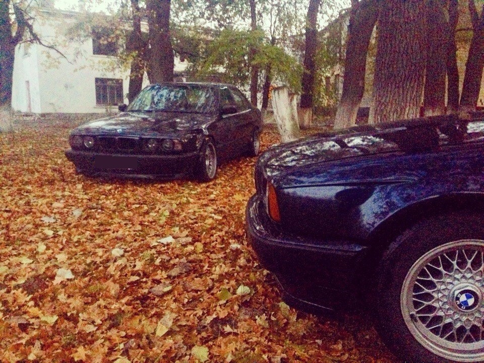 Осінь 535 vs 540 2