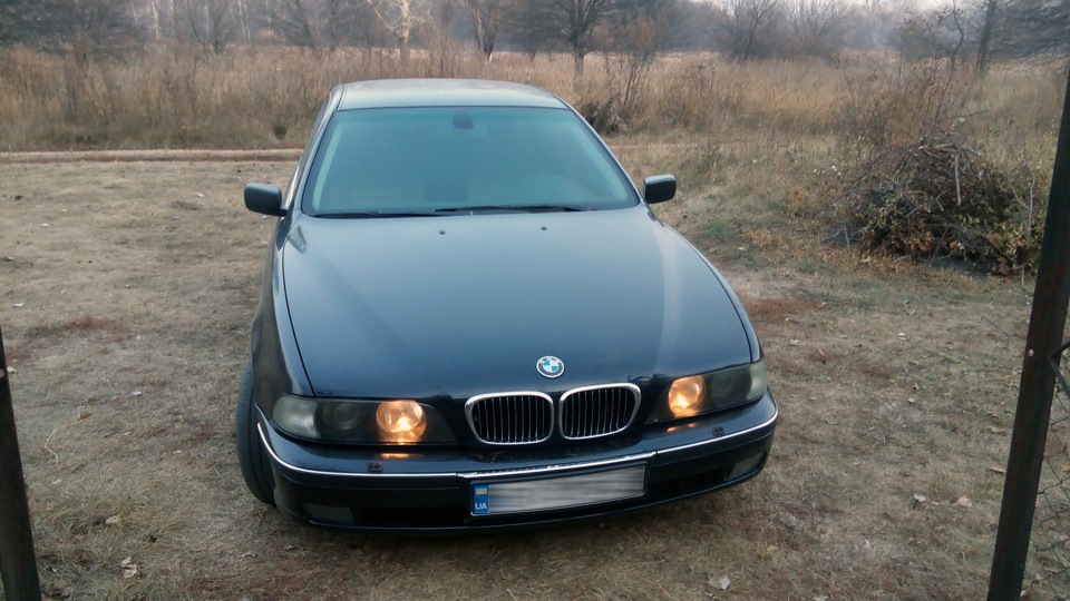 # BIMMER Стайлінг - ч1. Ніздрі /// 2