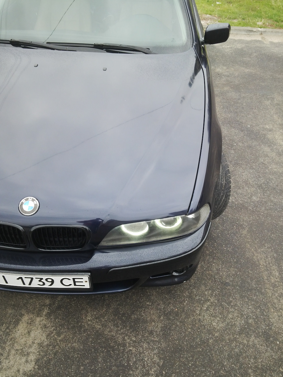 bimmer у строю, фотопост /// 1