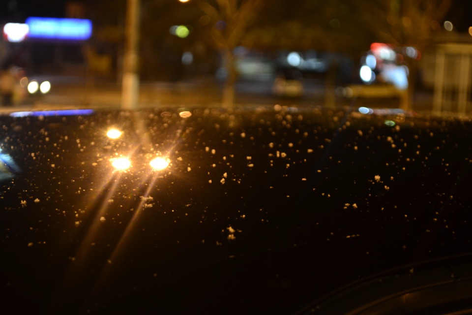BMW 540i & Snow 2