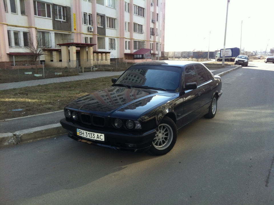 Пара фоток з новою оптикою вдень... 2