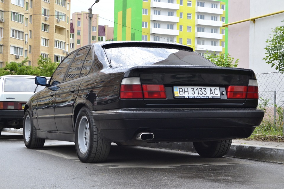 Після дощу…фото… 5