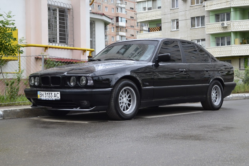 Після дощу…фото… 1